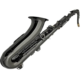 【調整品】ELKHEART ET-900BN テナーサックス ブラックニッケル ELKHEART ブラック テナーサックス