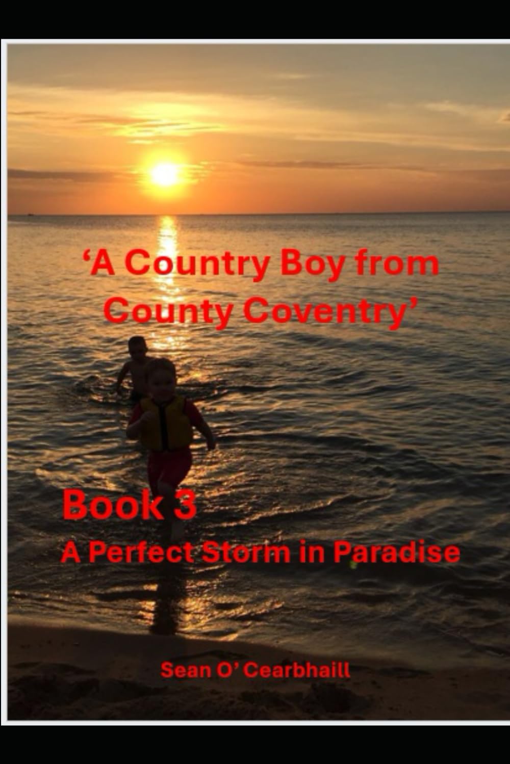 A Perfect Storm in Paradise: One man’s painful and lonely stand against global tyranny. ('A Country Boy from County Coventry')