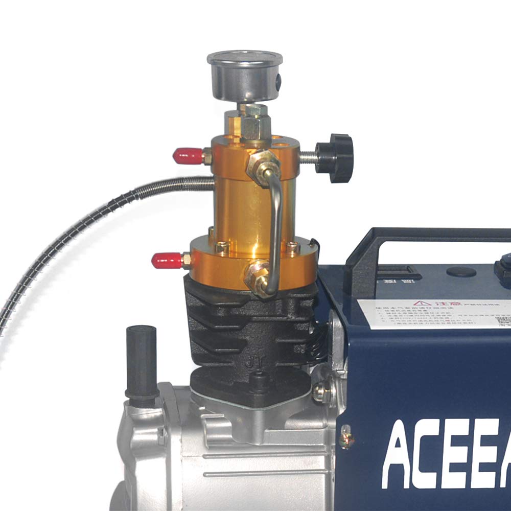 Compresseur d'air haute pression 300 bar 2800 tr/min Delivery 80 l/min 220 V Longueur du tuyau 50 cm Avec accessoires pour valves, tuyauterie et petites bouteilles haute pression, petits