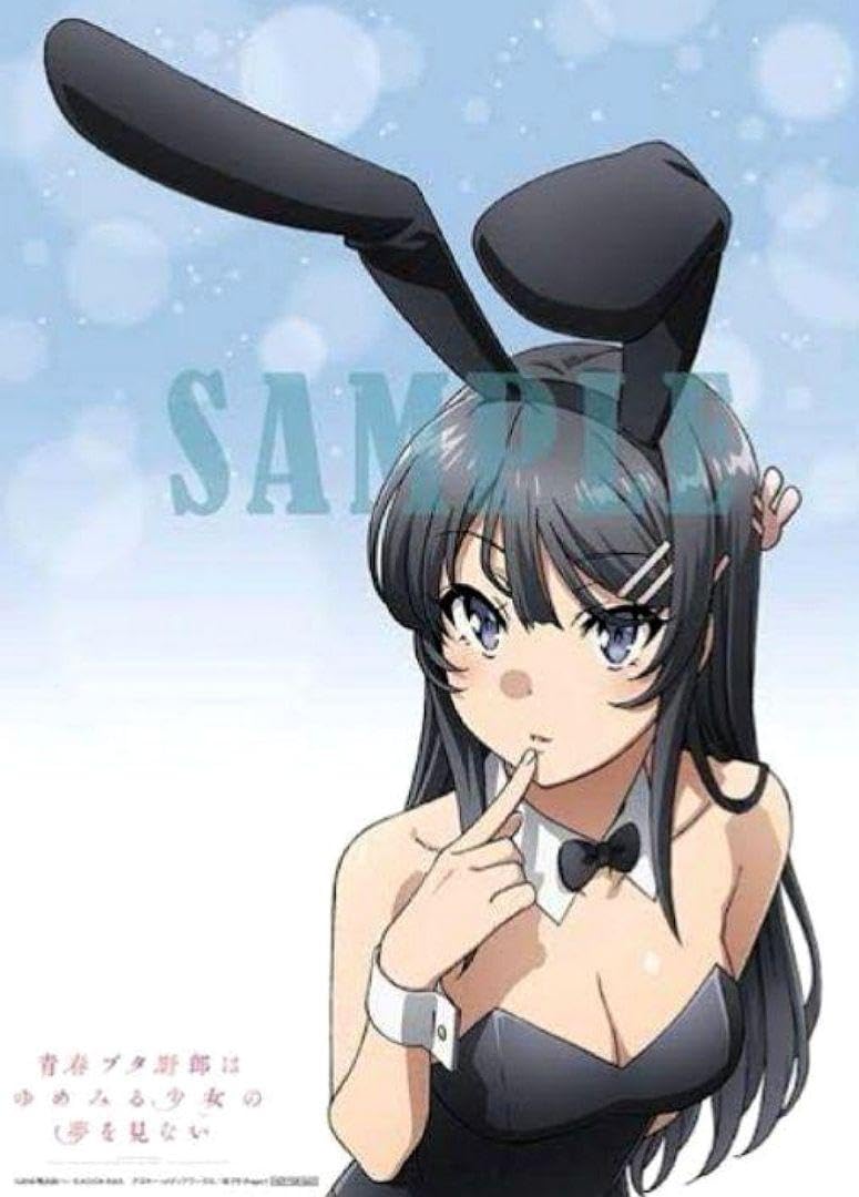 慎重勇者　布ポスター　B2 購入特典　アニメイト 慎重勇者 布ポスター B2 購入特典 アニメイト