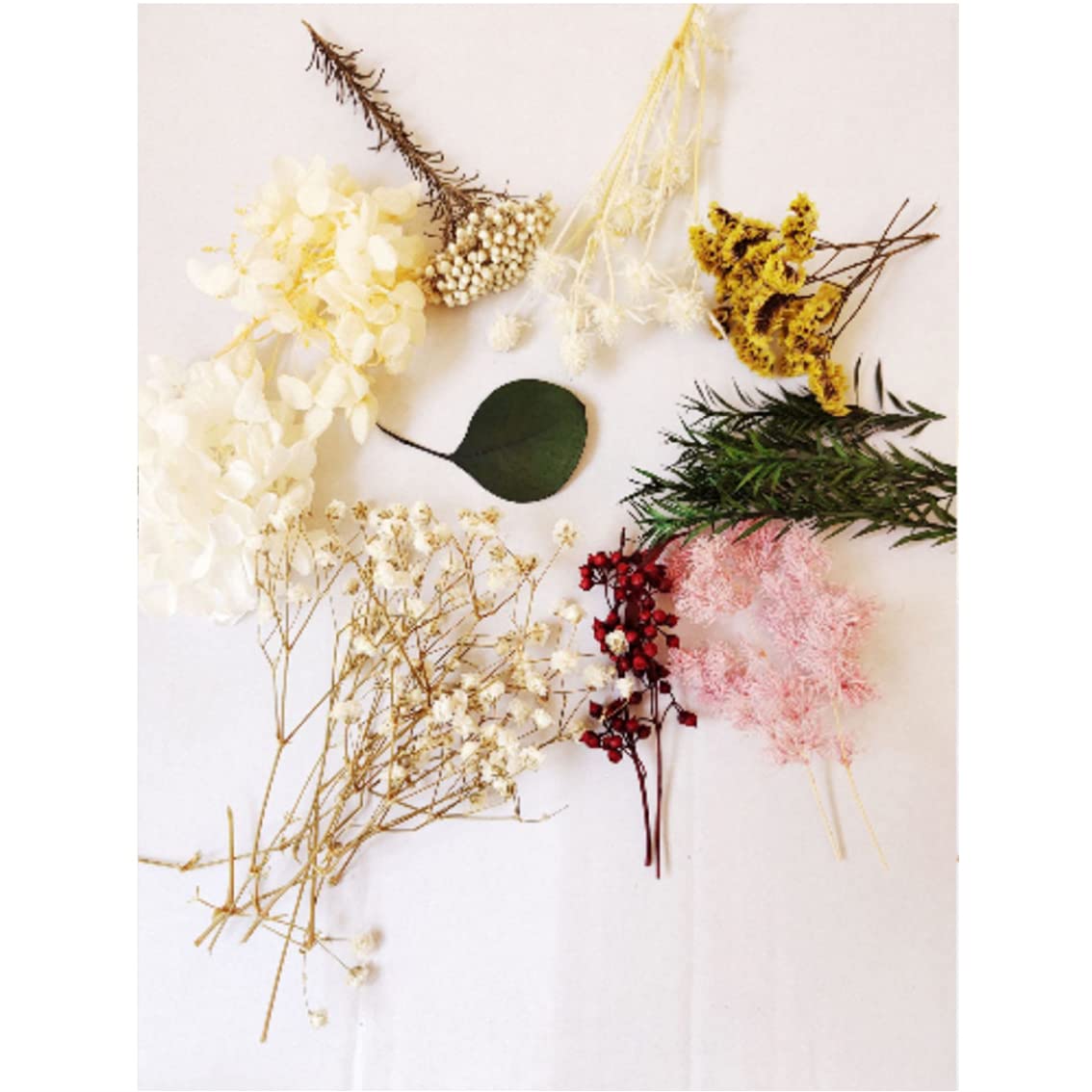 Fleurs Séchées Naturelles Plante Bricolage Bijoux Artisanat Décorations