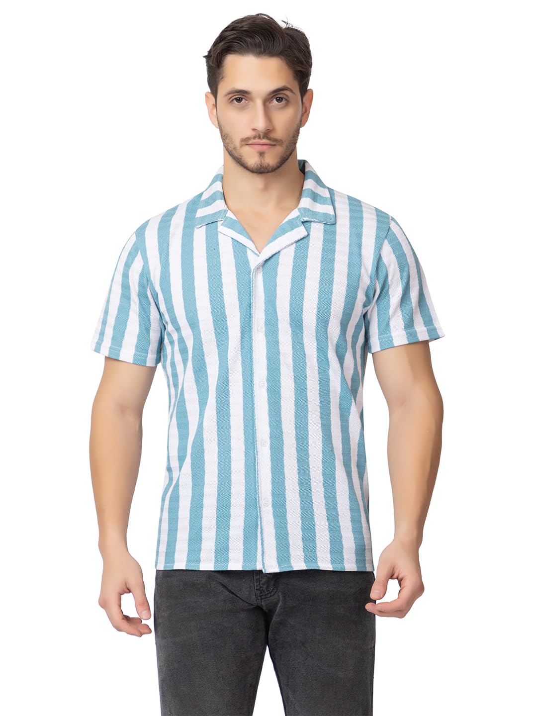 ARIIX Cotton Blend Regular Fit Striped Half Sleeves Men's Casual Shirt-SH-304-SKY