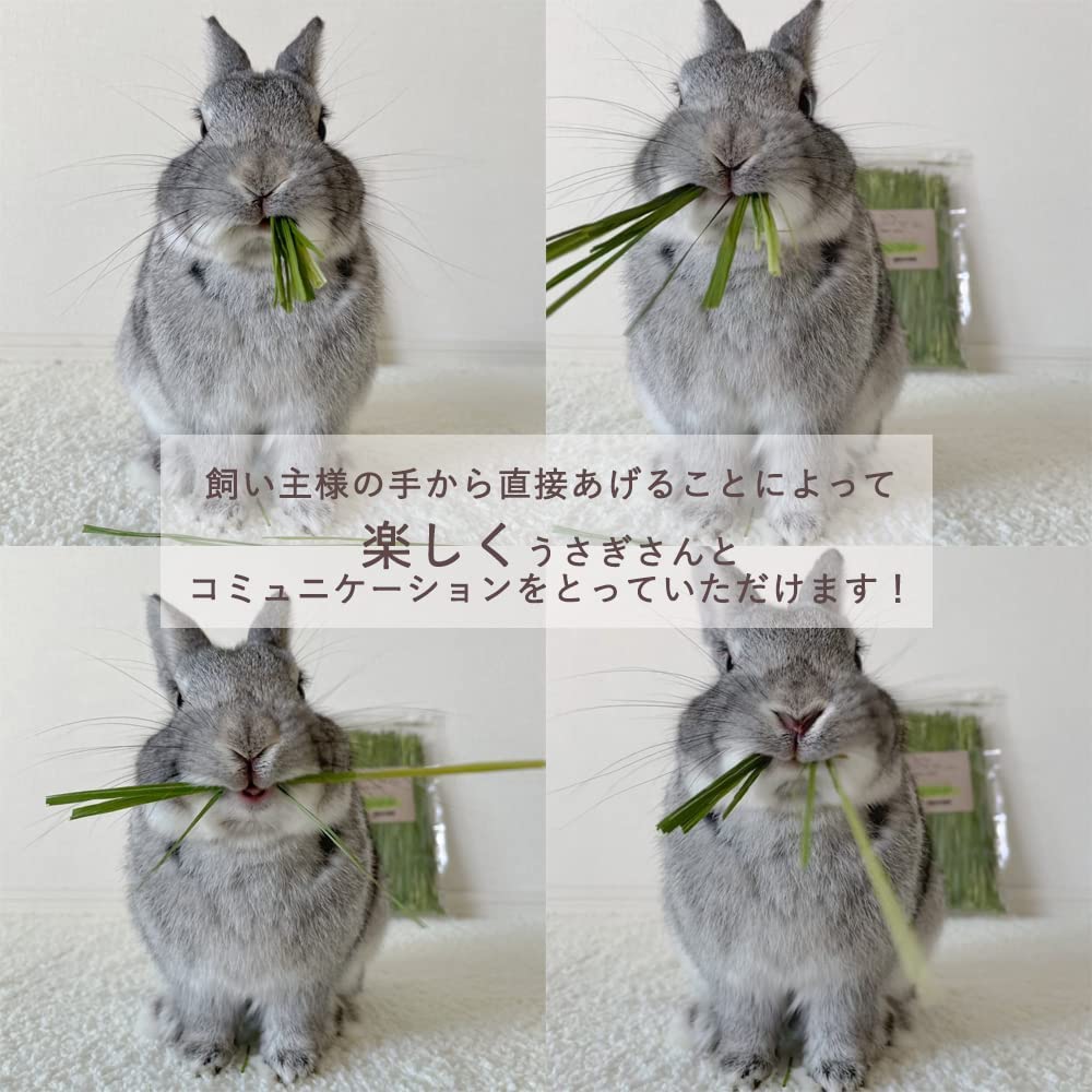 Amazon | Usagi Heart 緑のオーツヘイ ストレート 70g 乾燥牧草 1袋