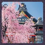 京都の意匠 桜
