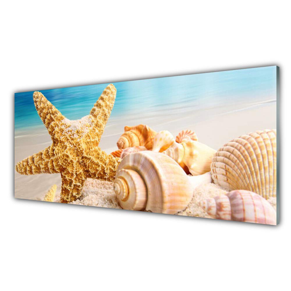 Tableau sur Verre Trempé 125x50cm avec 4 crochets motif coquillages mer Tulup