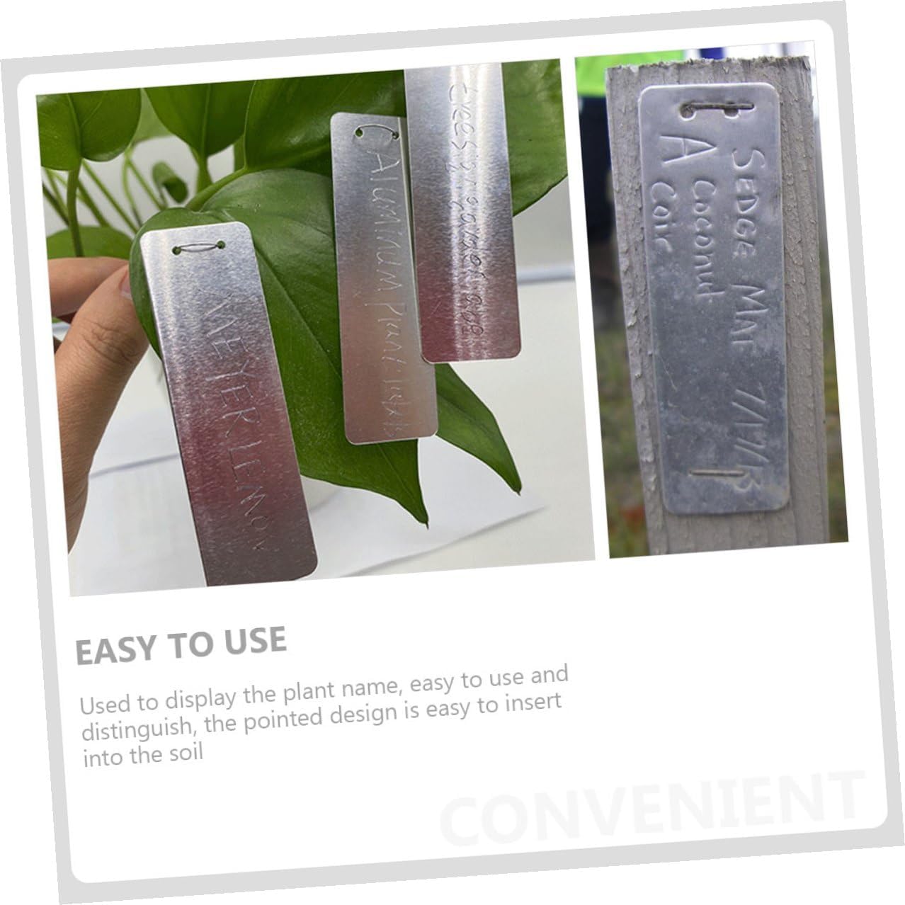 ibasenice 100pcs Metal Plant Labels Garden Tags Succulent and Tall Plant Markers for Outdoor Pots and Seedlings Classification Signs