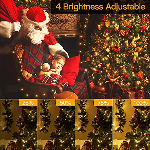 Ollny Christmas Lights Outdoor-1000Led 330Ft Ip67 Waterproof Plug In Christmas Tree Lights With Remote-8 Modes, Memory Function And Timer, House Xmas Indoor Decorations String Lights(Warm White) #TOP5
