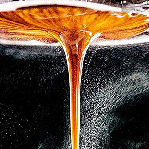 tellaLuna Portafiltros sin fondo de café para filtro Ec200 / Ec221 / Ec0310 de 51 mm, cesta de filtro de repuesto… - Imagen 8