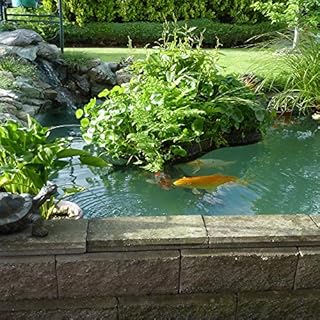 Pond Shield Pond Armor SKU-CBLUE-QT-R Non-Toxic Epoxy Paint, 1.5-Quart, Competition Blue, 48 Fl Oz (Pack of 1)