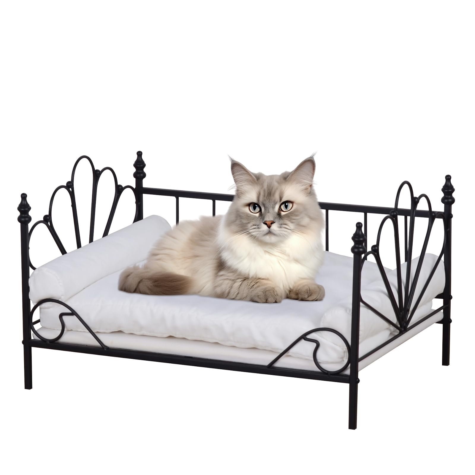 DGBAOBEI Pet Sofa Bed for Dogs and Cats, Mini Dog Couch Bed with Sturdy Metal Frame and Washable Removable Cover, Plush Couch Style Cat Sofa for cats, Comfortable Sleeping Couch for Pets (Black)