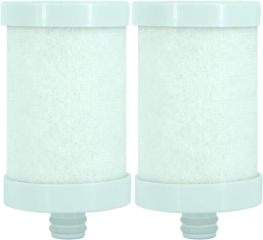 Engdenton Stainless Steel Water Filter Cartridge Replacement, For Stainless Steel Filters ASIN: B07DCMD991 (2 Pack) Compatible with WINGSOL Faucet Filter Replacement WS-FM001-PAC