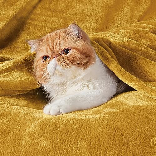Image of Bedsure GentleSoft Gold Fleece Throw Blanket - 300GSM Blankets for Couch, Sofa, Bed, Soft Lightweight Plush Cozy Throws for Toddlers, 50x60 inches