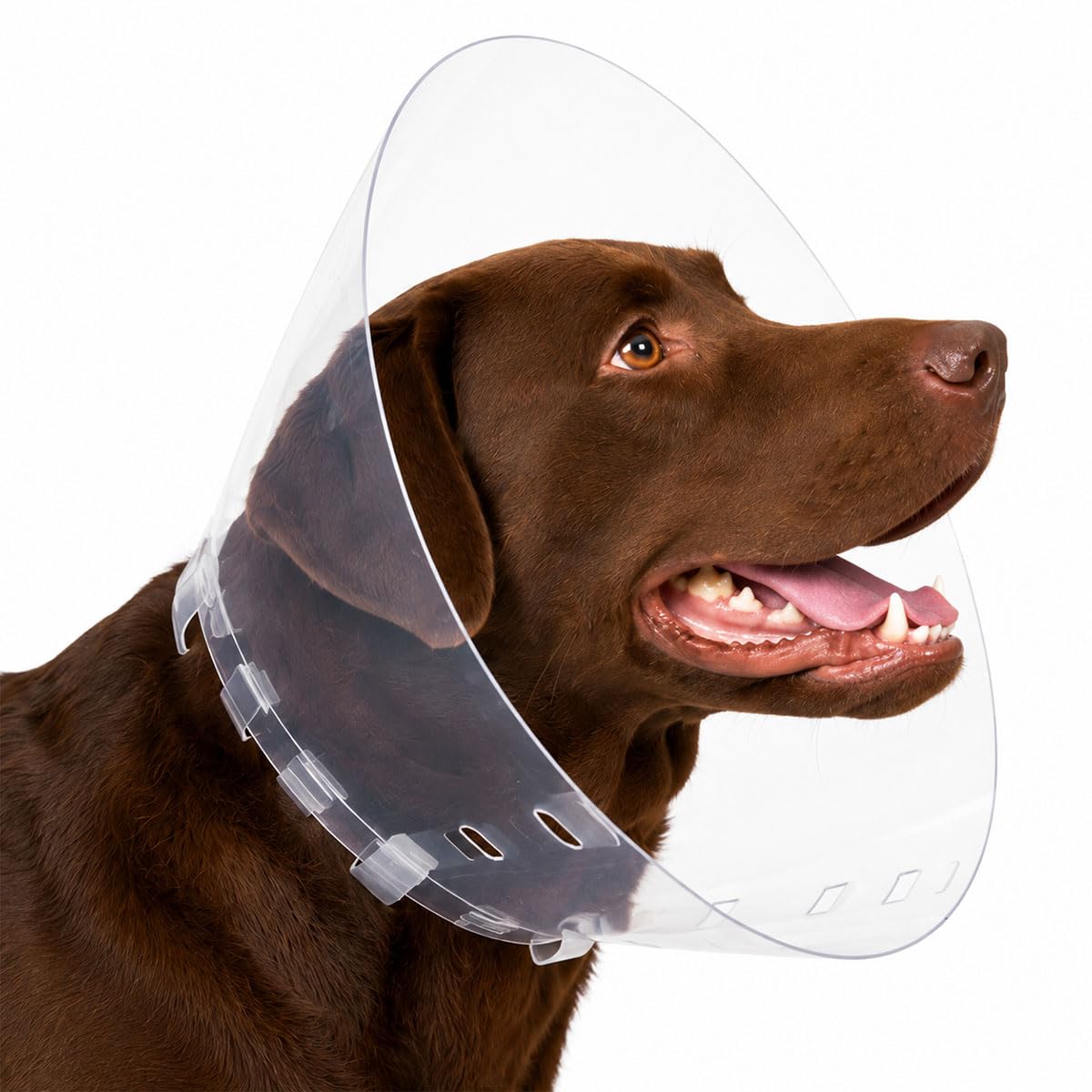 Vetsaver Classic Collar for Pets, Transparent, Flexible Polythene, Prevents Wound Interference, Economy Range (17.5cm)