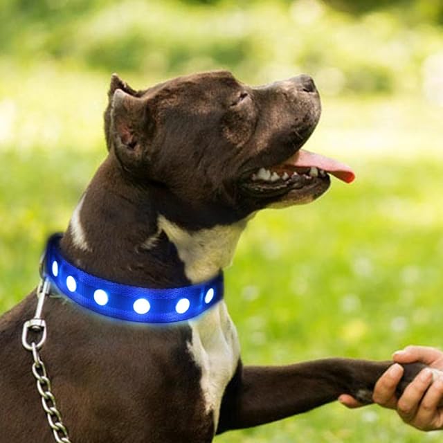 Foto 5 de 6 de QQY Collar de Perro led, Collar de Mascota Impermeable y Luminoso Cargado por USB con 3 Modos de Collar…