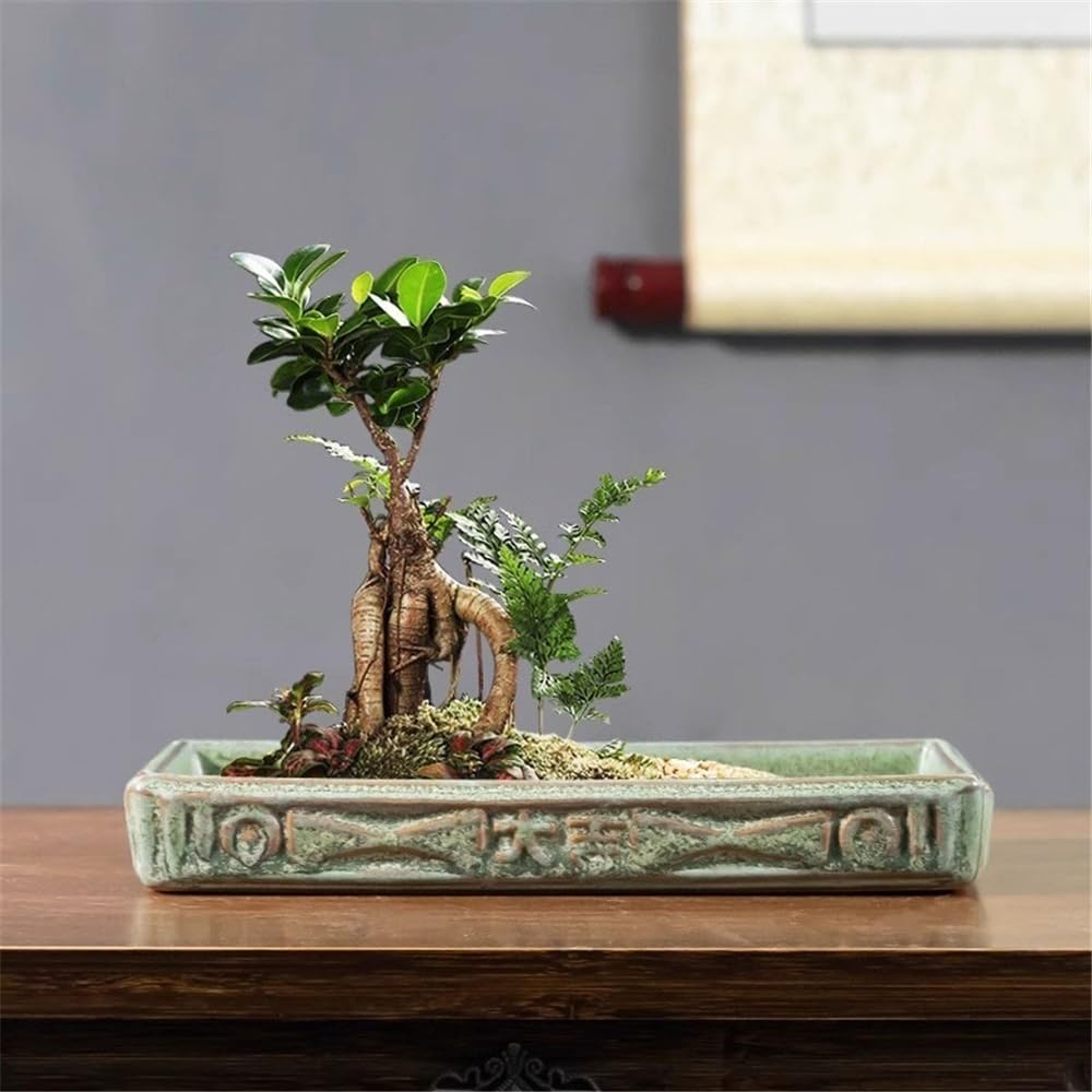 Versatile Vassoi sottovaso in Ceramica con piattino da Giardino for Piante rettangolari(Piccolo)
