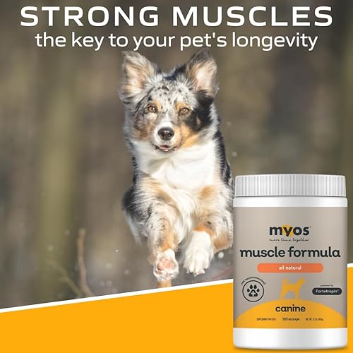 Miniatura 12 de MYOS Canine Muscle Formula - Suplemento de construcción muscular totalmente natural - Ayuda a reducir la pérdida muscular en perros envejecidos y