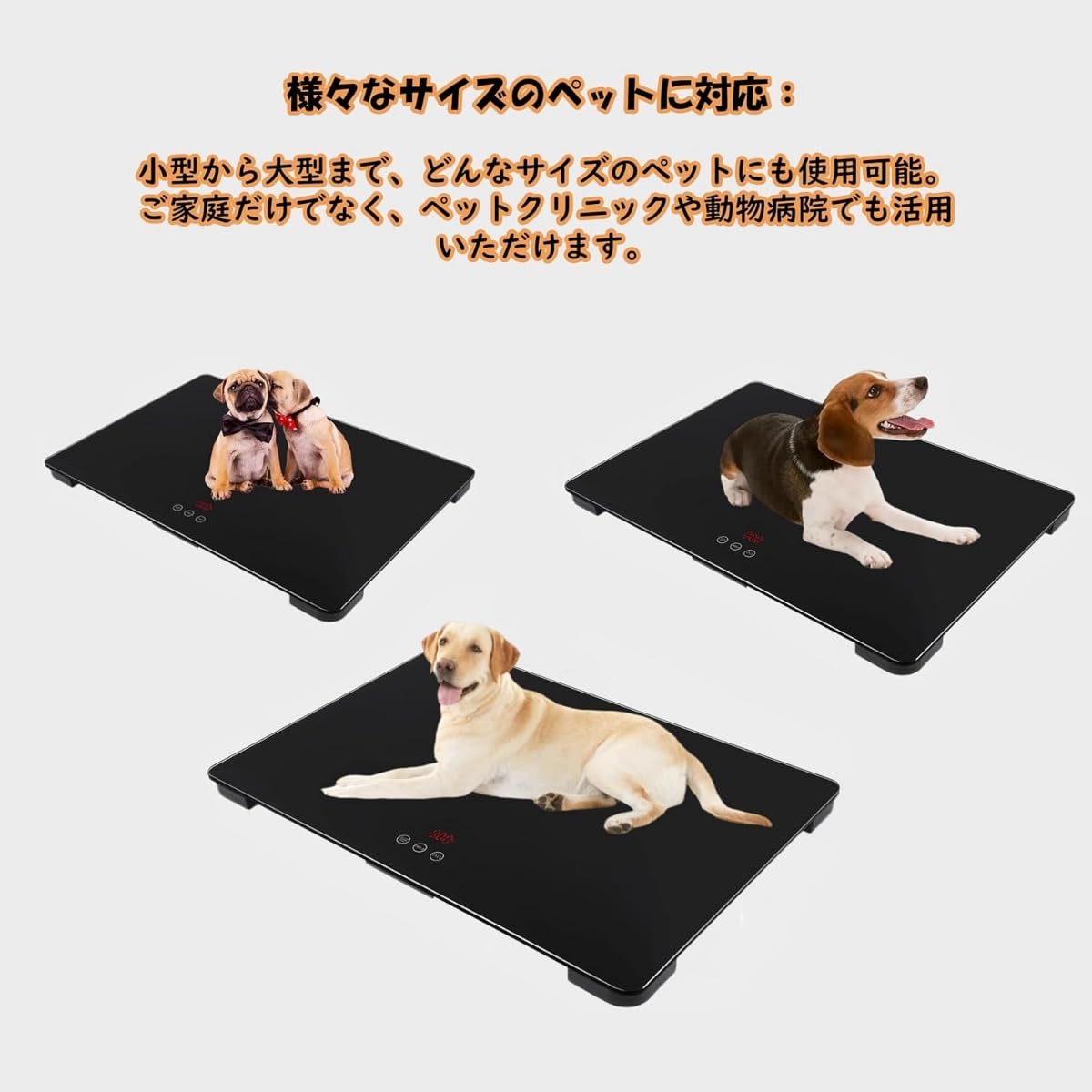 Amazon｜Sprouor 犬用体重計 動物用体重計 獣医用の犬用体重計 ペット