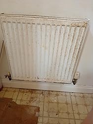 151 Coatings Iron Gate Gloss Paint - Black / 180ml - Status Home Care - View #6