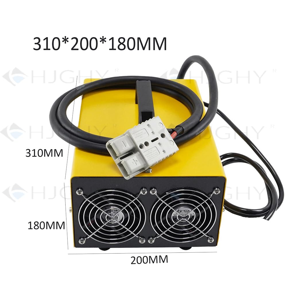 Caricabatterie per carrelli elevatori da 48 V 30 Ah, batteria al piombo