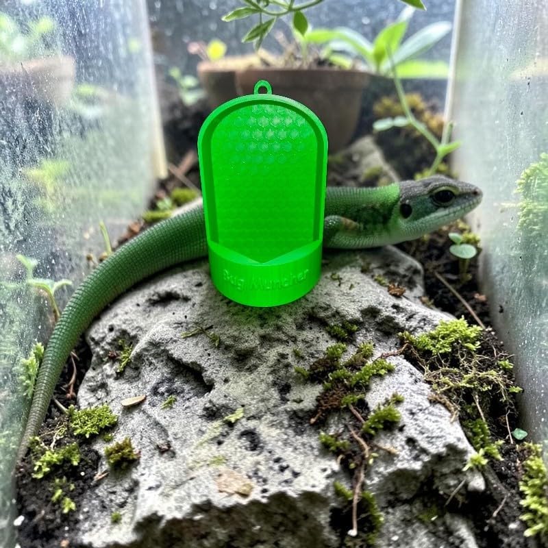Feeding System and Dish for Live Food Designed for Lizards, Frogs, Geckos, and Chameleons a Secure Plastic Feeding Tank with a Hanging Feature, Insect Holder, Design a Safe Meal。 (White)