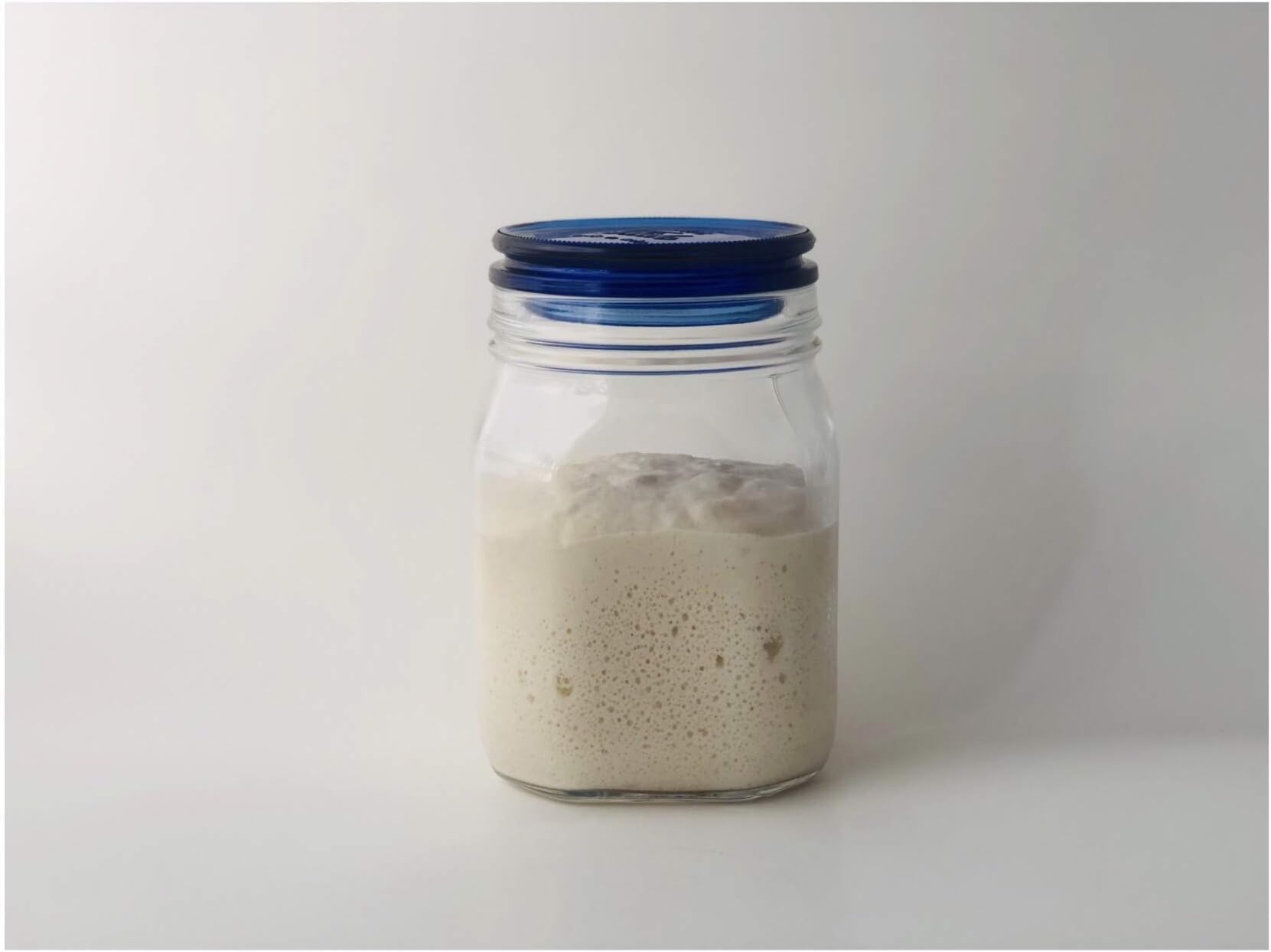 Organic Teff Gluten Free Sourdough Starter Culture