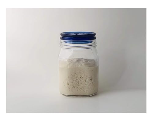 Levadura de pan de avena orgánica sin gluten de cultivo de masa madre