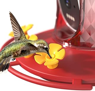 Smart Hummingbird Feeder