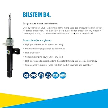 Amazon.com: Bilstein OE Replacement Series Pair of Front