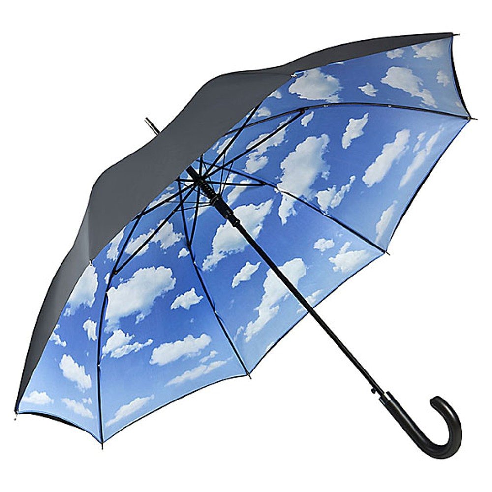 VON LILIENFELD Regenschirm | Bayrischer Himmel | Doppelte Bespannung - Außen Schwarz - Innen Bedruckt | Auf-Automatik | Windfest | Sehr Stabil | Motiv | Wolken | Damen | Herren