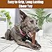 SPOT Bam-Bones Plus T-Bone, Bamboo Fiber & Nylon Dog Chew, Durable for Aggressive Chewers, Non-Splintering, for Adult Dogs & Teething Puppies Under 60lbs, 6in, Beef Flavor