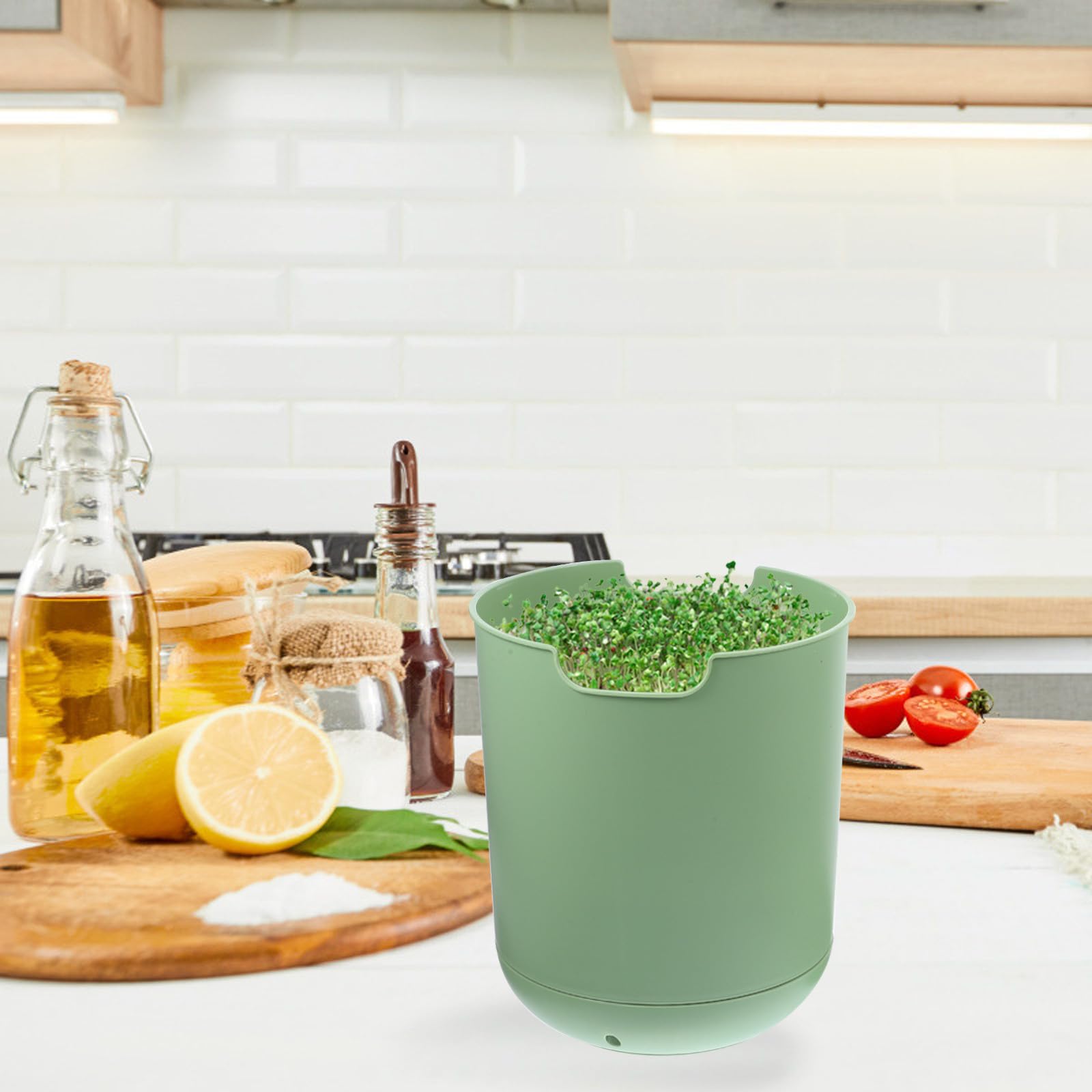 INOOMP Keimset für Bohnensprossen mit Pp Material und Praktischem Design Großer Bohnensprossentopf für Effiziente Sprossenanzucht und Pflanzung im Garten