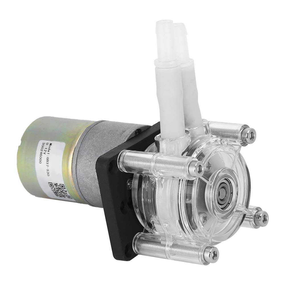 Keenso Peristaltische Pumpe mit Einstellbarer Drehzahlmotor (12V)