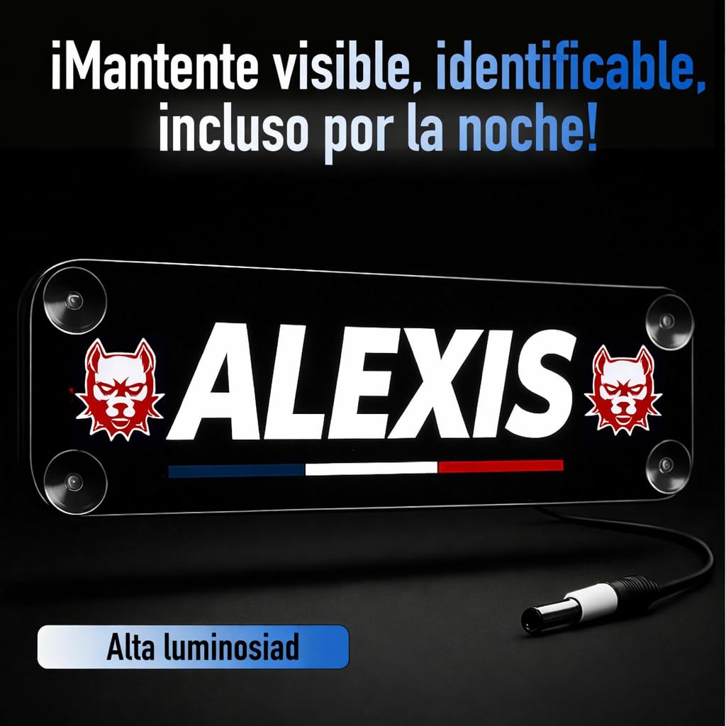 Placa neon personalizado para camión Stick Olivier® - Matriculas personalizadas para camión con iluminación blanca fría con nombre/apodo y logotipos [ Accesorios camion ]