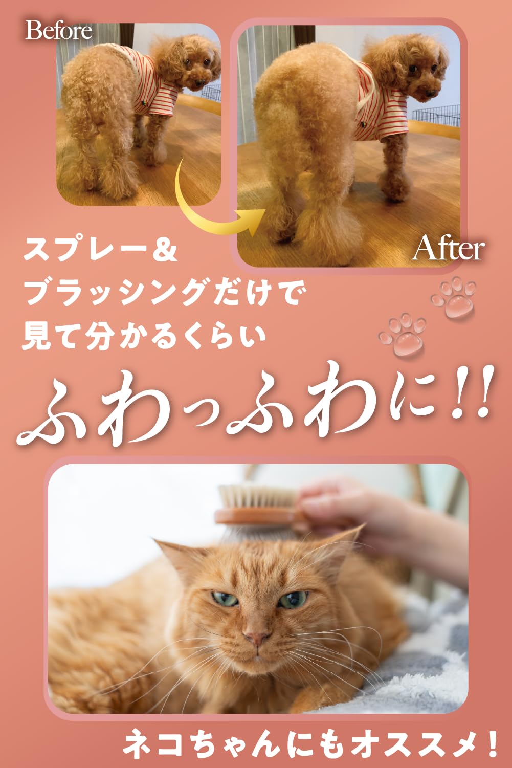 Amazon | 【シリーズ累計50万本突破】 犬猫兼用 サラツヤ毛並み