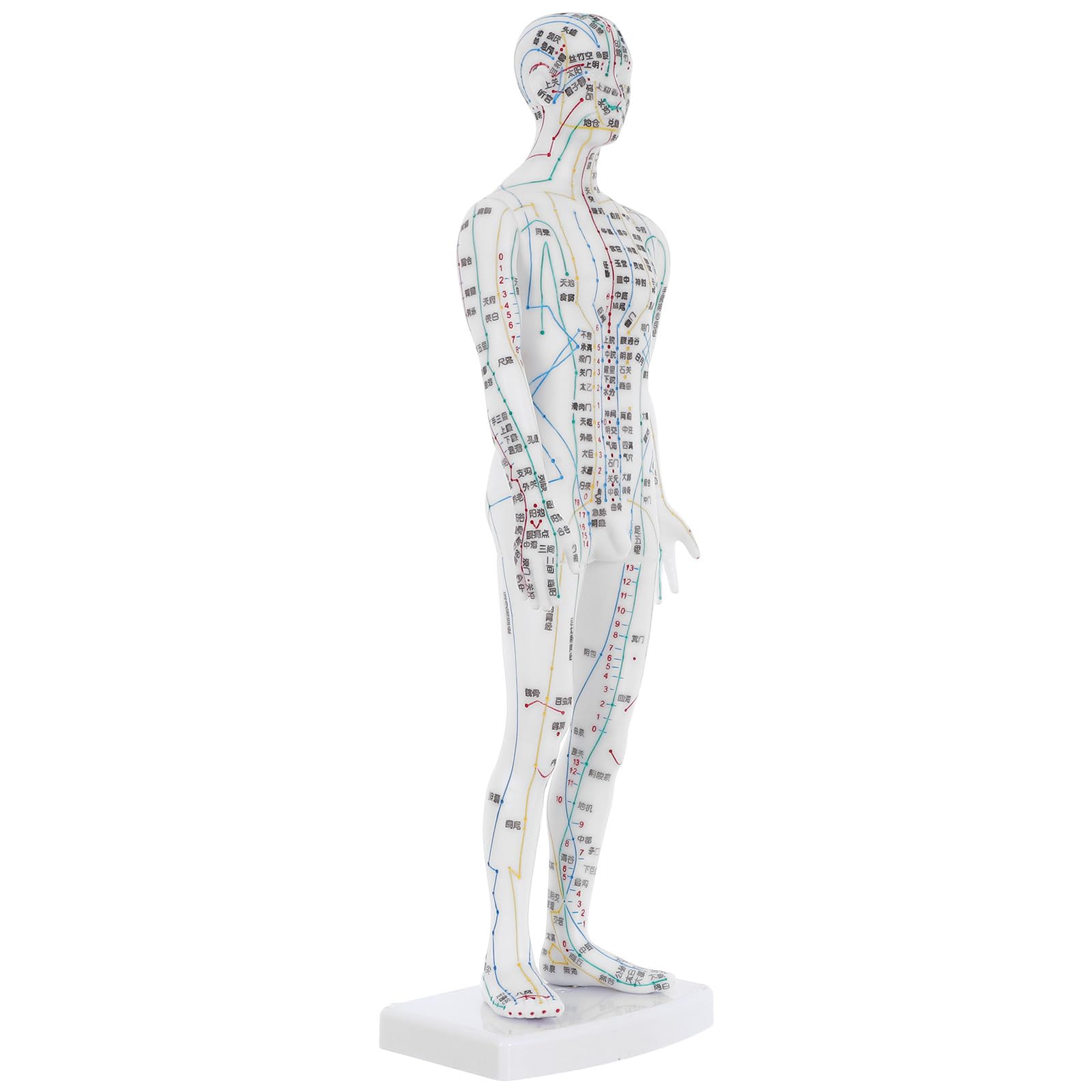 Modellino Corpo Umano Maschile Bianco per Agopuntura Linee Energetiche e Punti di Pressione per Uso Didattico e Studio Medicina Cinese