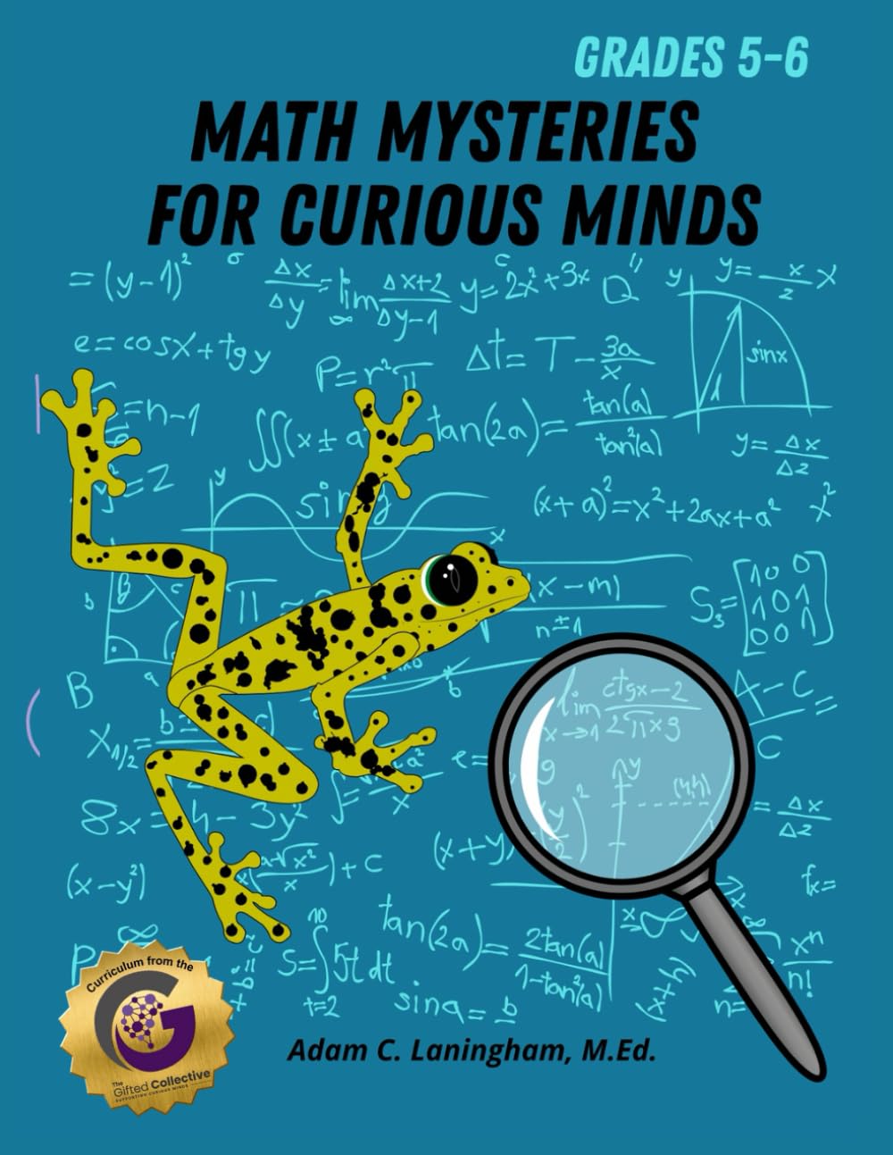 Math Mysteries for Curious Minds - Grades 5-6: When Kids Need A Good Challenge