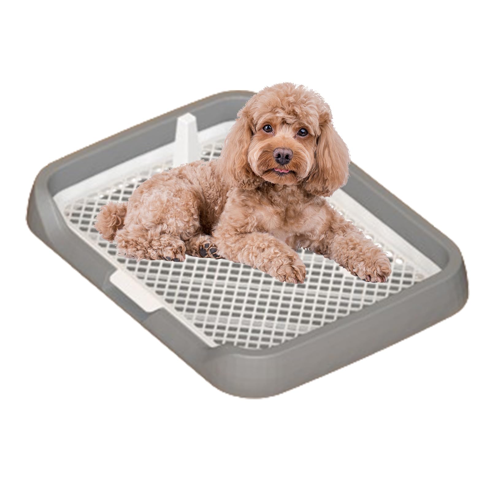 Bac de propreté d'intérieur pour chien | Grilles plates en maille et tapis pipi intégrés, colonne réutilisable et amovible pour la maison, les animaleries, fournitures de toilette pour chien