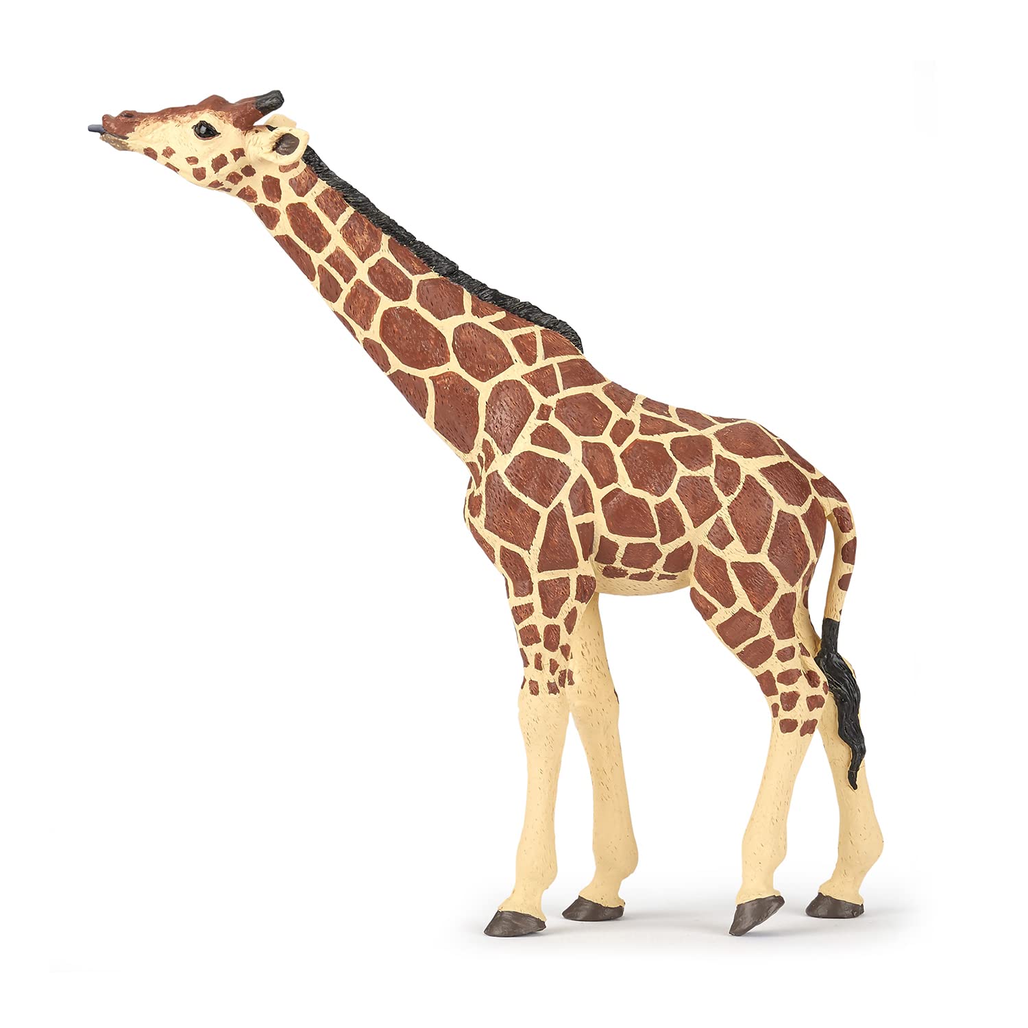 Amazon.com: Papo - Realistic Raised Head Giraffe Figure - Ages 3+