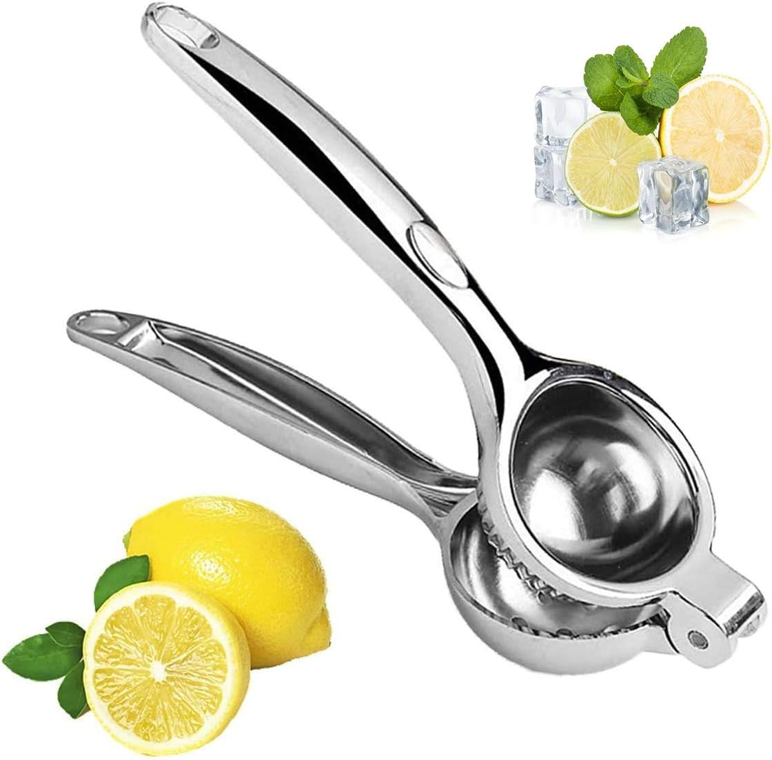 Lemon Squeezer Stainless Steel Cooyeah 2.6in Lemon Squeezer