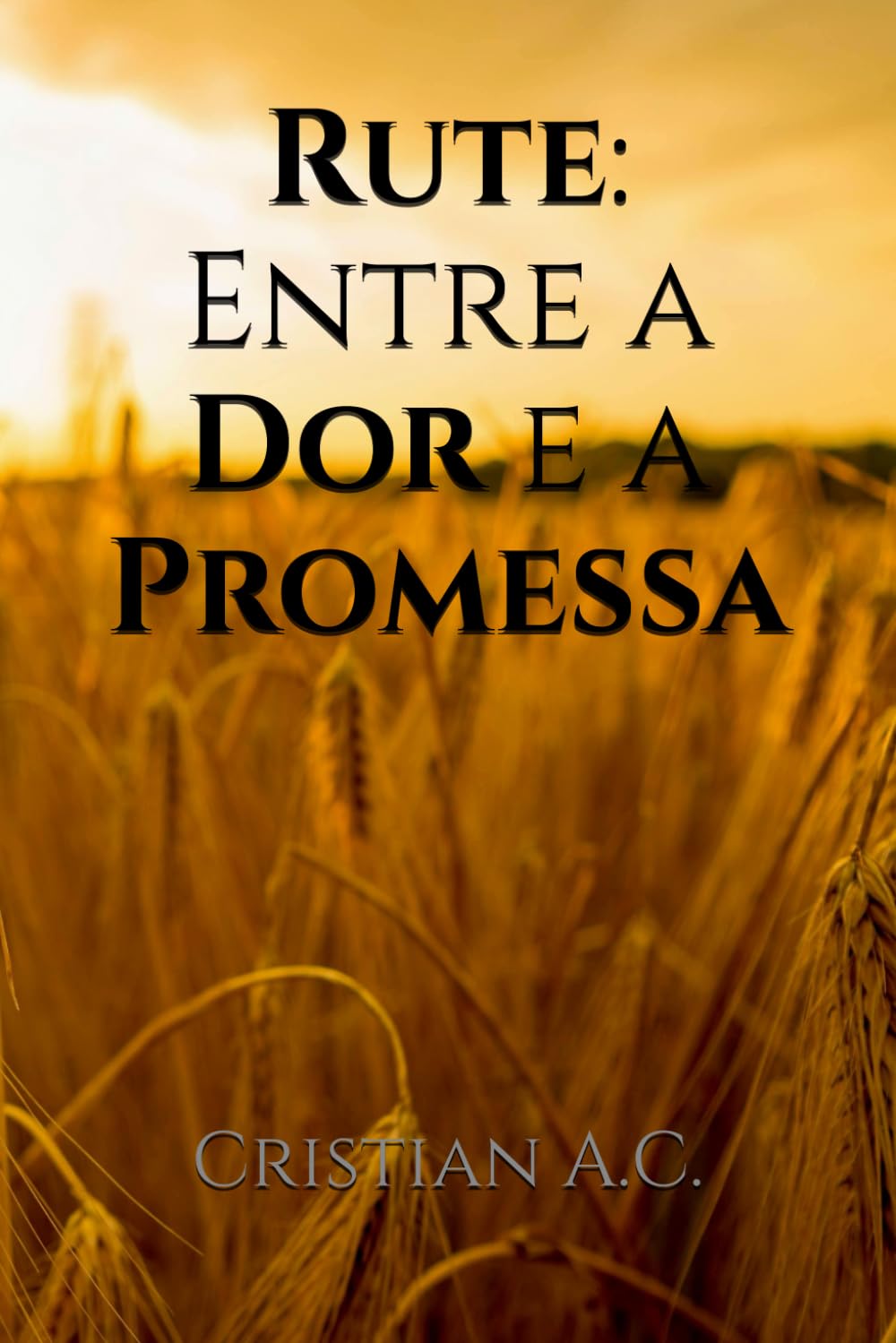 Rute: Entre a Dor e a Promessa (Estudos Bíblicos: Livro por Livro)