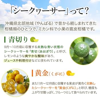 Amazon.co.jp: 沖縄 大宜味村産 青切シークヮーサー 100
