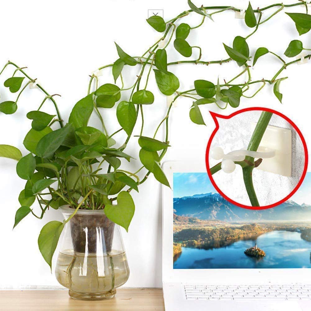 Wall Vines Fixture Wall Sticky Self-Adhesive Hook | Indoor Cable Tie Clip (90) — Amazon image 8