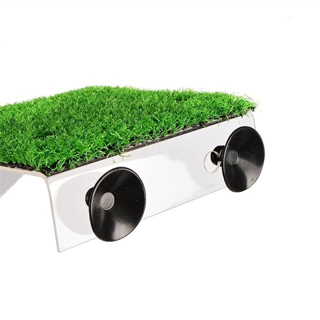 Foto 4 de 6 de Plantas de Acuario Decoraciones Aquarium Decor Turtle Basking Platform Squariums Clambing Island…