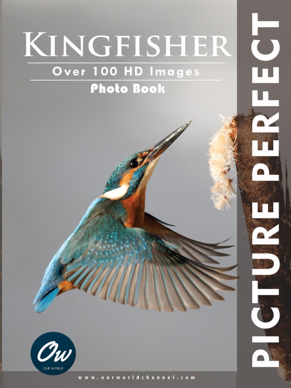 Kingfisher: Picture Perfect Photo Book: Over 100 HD Images
