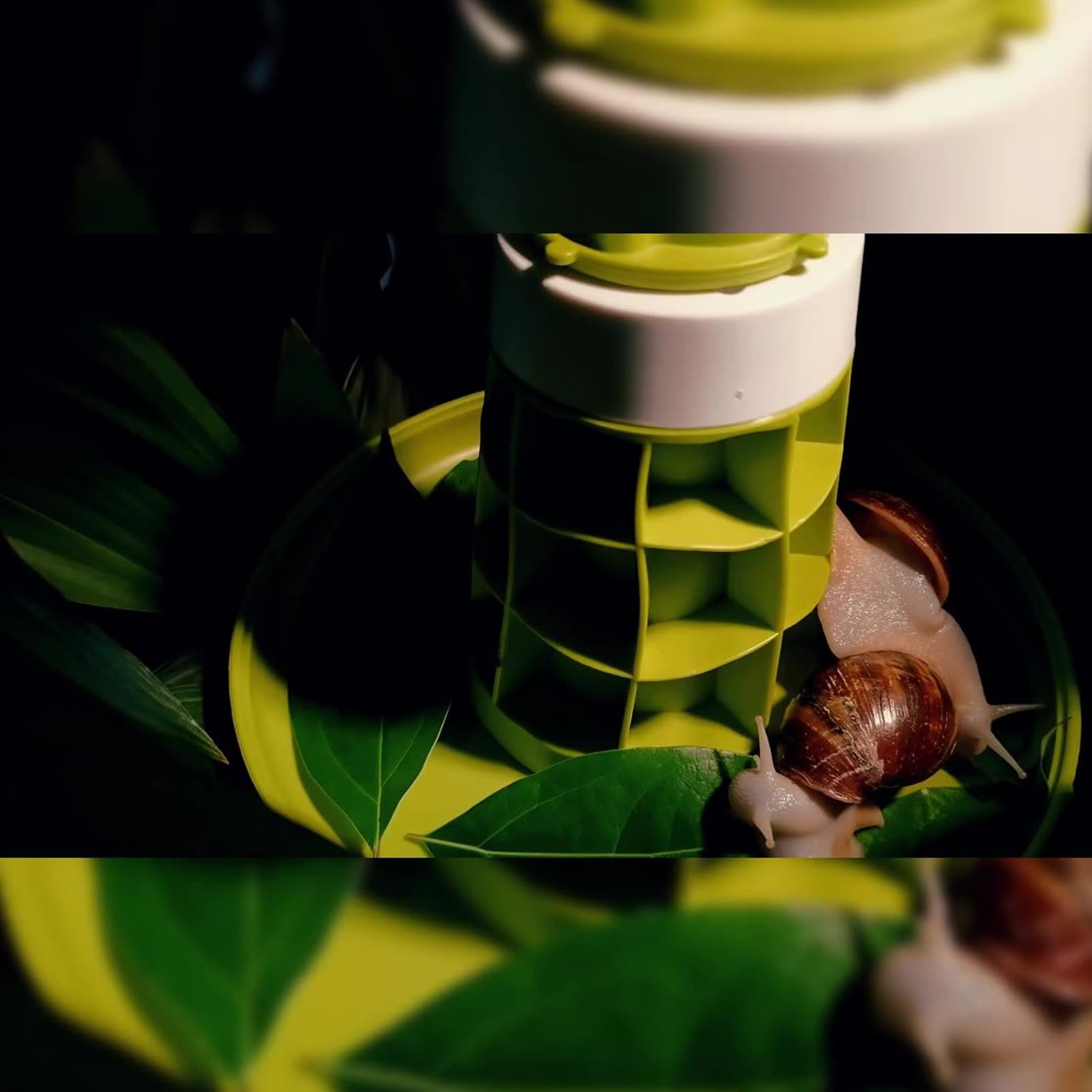 Boîte d'Observation d'Escargots Transparente, Matériel Pédagogique Scientifique pour Enfants, Conception Innovante, Cadeau Éducatif