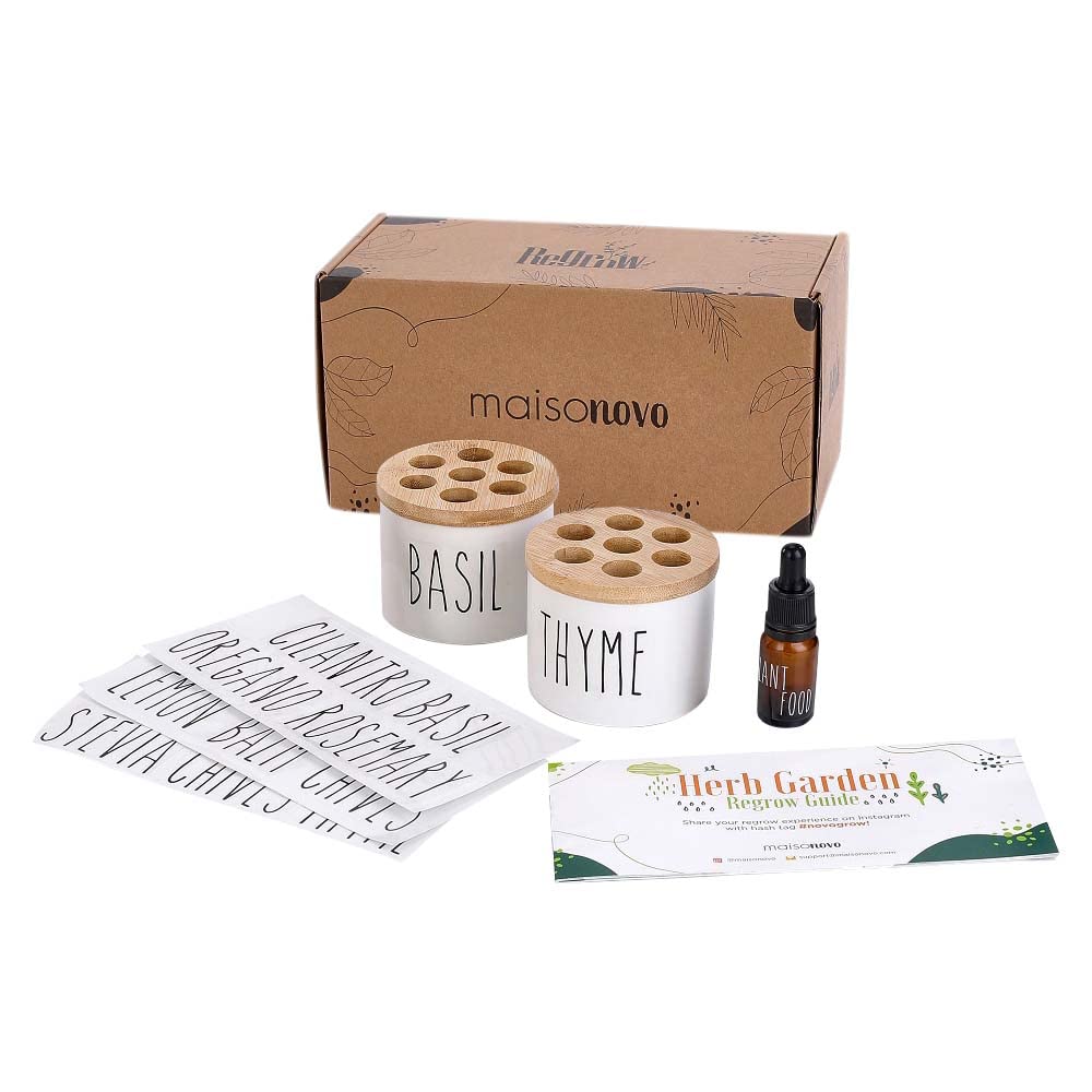 MaisoNovo Regrow Indoor Herb Garden Starter Kit for Kitchen Counter & Windowsill | Herb Garden Kit Indoor for Growing Fresh Herbs from Scraps in Water | Set of 2 Pods