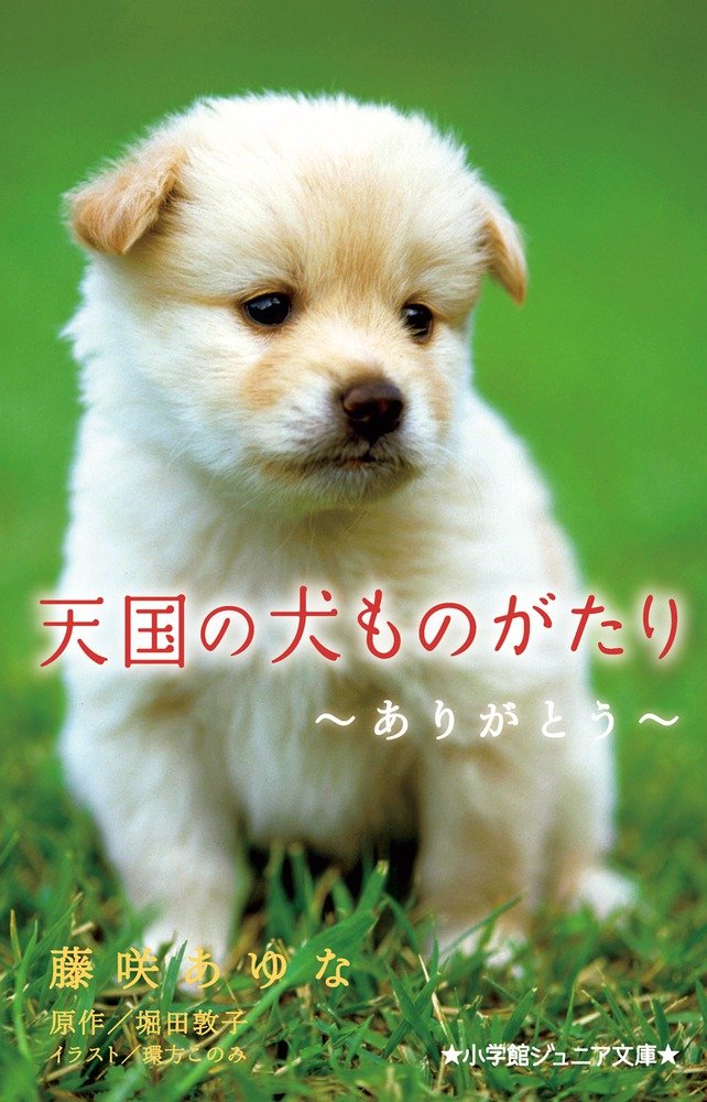 【中古】 天国の犬ものがたり～ずっと、ずっと、一緒に～/小学館/堀田敦子 楽天市場】天国の犬ものがたり ずっと一緒の通販