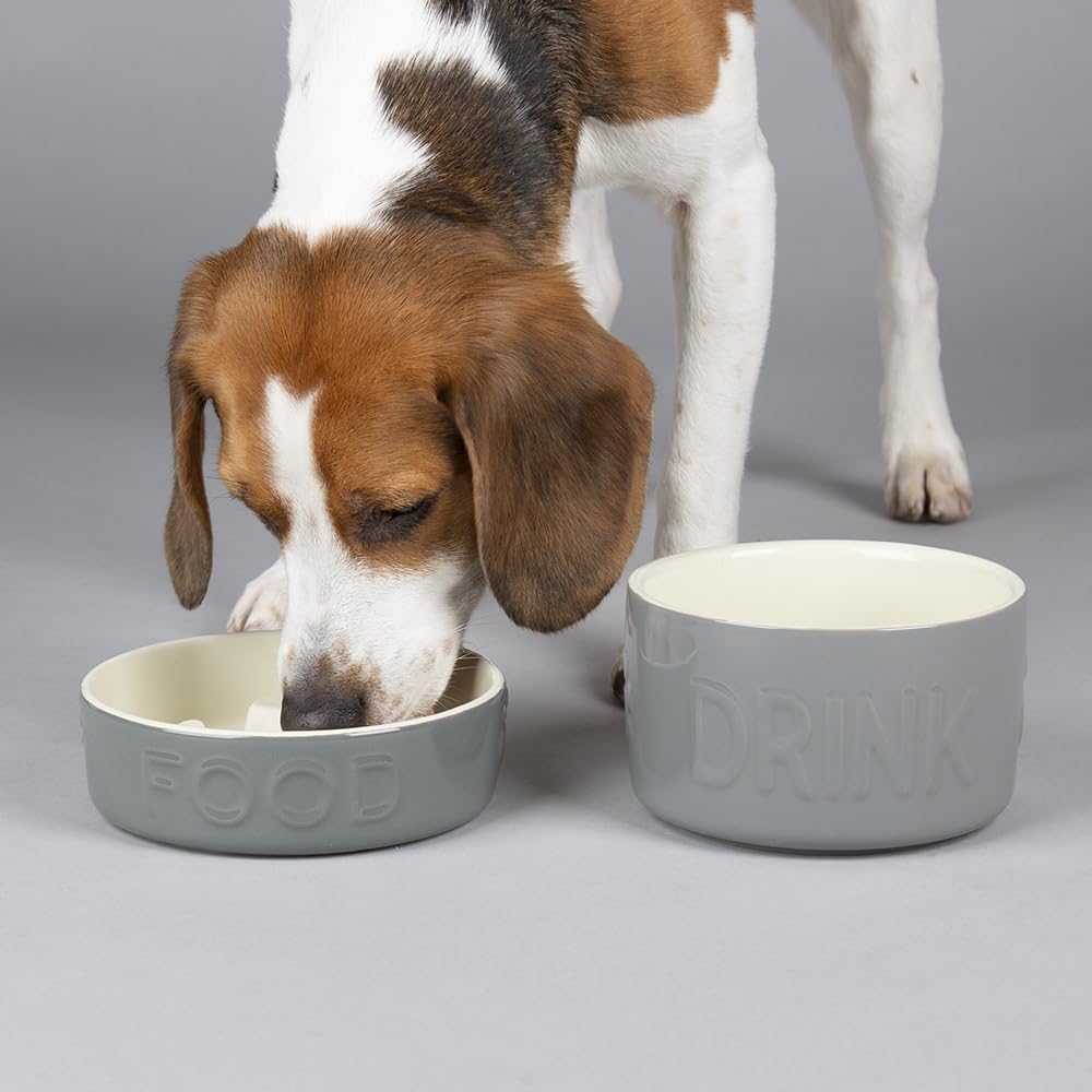 Scruffs Classic Dog/Pet Slow Feeding Bowl Set - 20cm Slow Feeder & 20cm Water Bowl – Grey