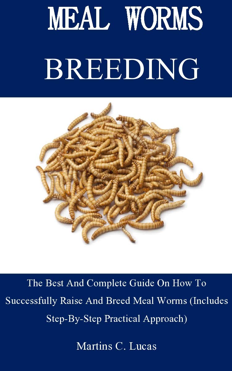 Buy Meal Worm Breeding The Best And Complete Guide On How To