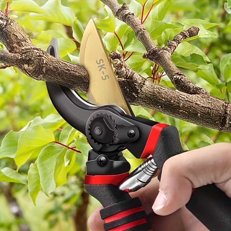 Image of Daccfy 8 Inch Gardening Scissors -Pack of 1 | Plants Scissor | Garden Shear Tree Branch Pruner | Gardening Cutter Tool | Plant Cutter for Home Garden | Wood Branch Trimmer